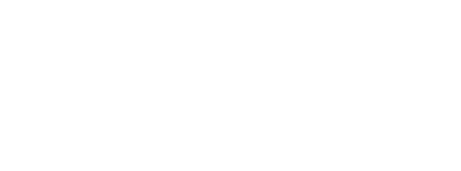 Логотип компании LISP